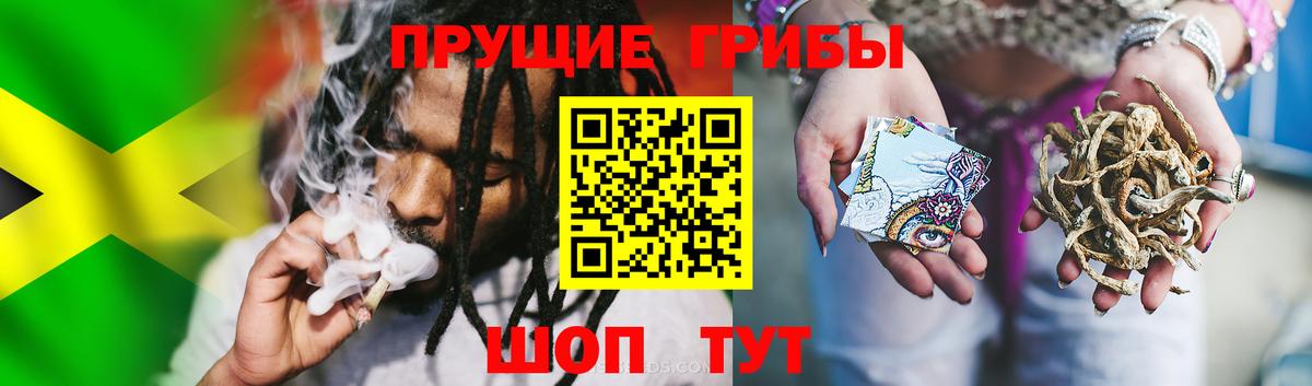 Псилоцибиновые грибы GOLDEN TEACHER  Вход с VPN  Дальнегорск  Псилоцибиновые грибы GOLDEN TEACHER 